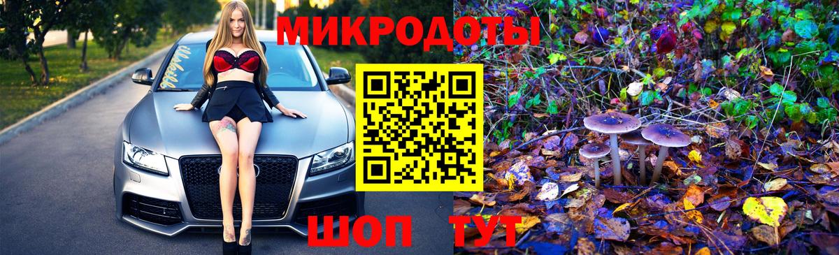 Псилоцибиновые грибы Cubensis Кизляр