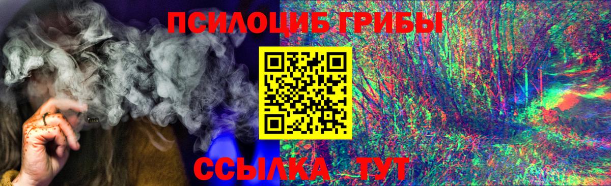 Псилоцибиновые грибы Psilocybe  Вход с VPN  Псилоцибиновые грибы мицелий  Кизляр 