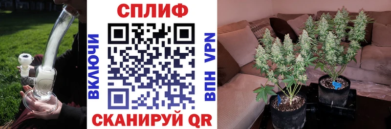 ссылка на мегу онион  закладки  Кизляр  Конопля AK-47 
